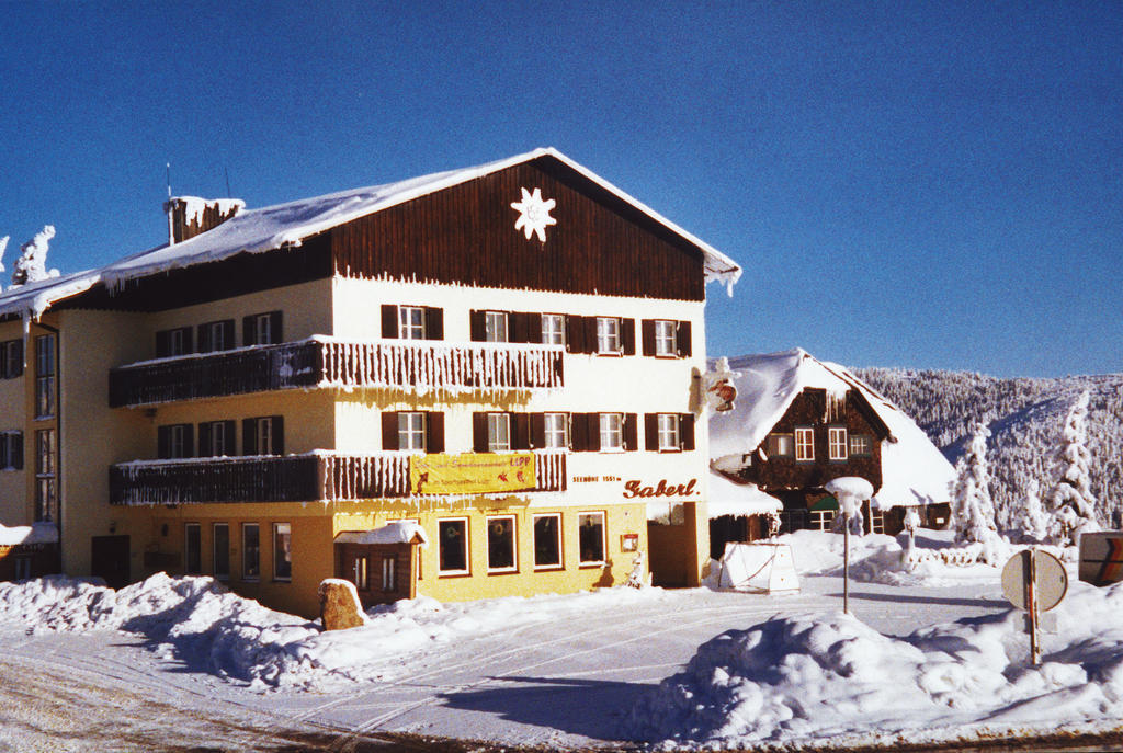Gaberlhaus Hotel Salla Exterior photo